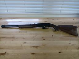 WINCHESTER .22 L or LR Rifle / PERFECT Starter License Model # 290