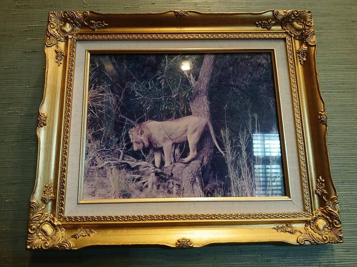 LARGE Decorative Wild Life Picture in Frame