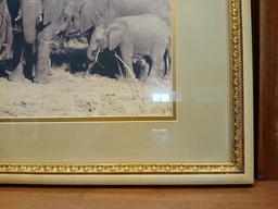 LARGE Decorative Wild Life Picture in Frame