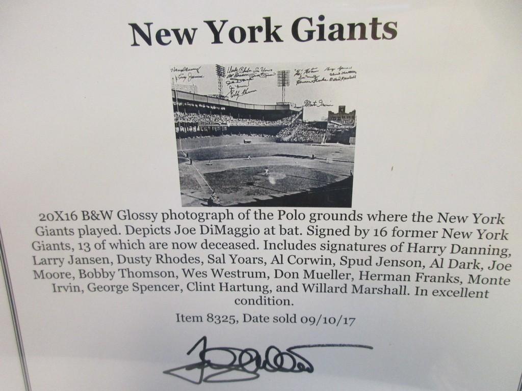 Al Dark Monte Irvin Dusty Rhodes +13 of the NY Giants signed autographed 16x20 Todd Mueller LOA