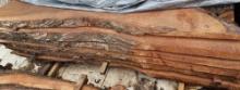 Live Edge Boule Wood Slab