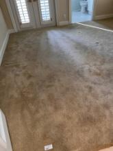 Thick Bedroom Carpet, 12 X 14