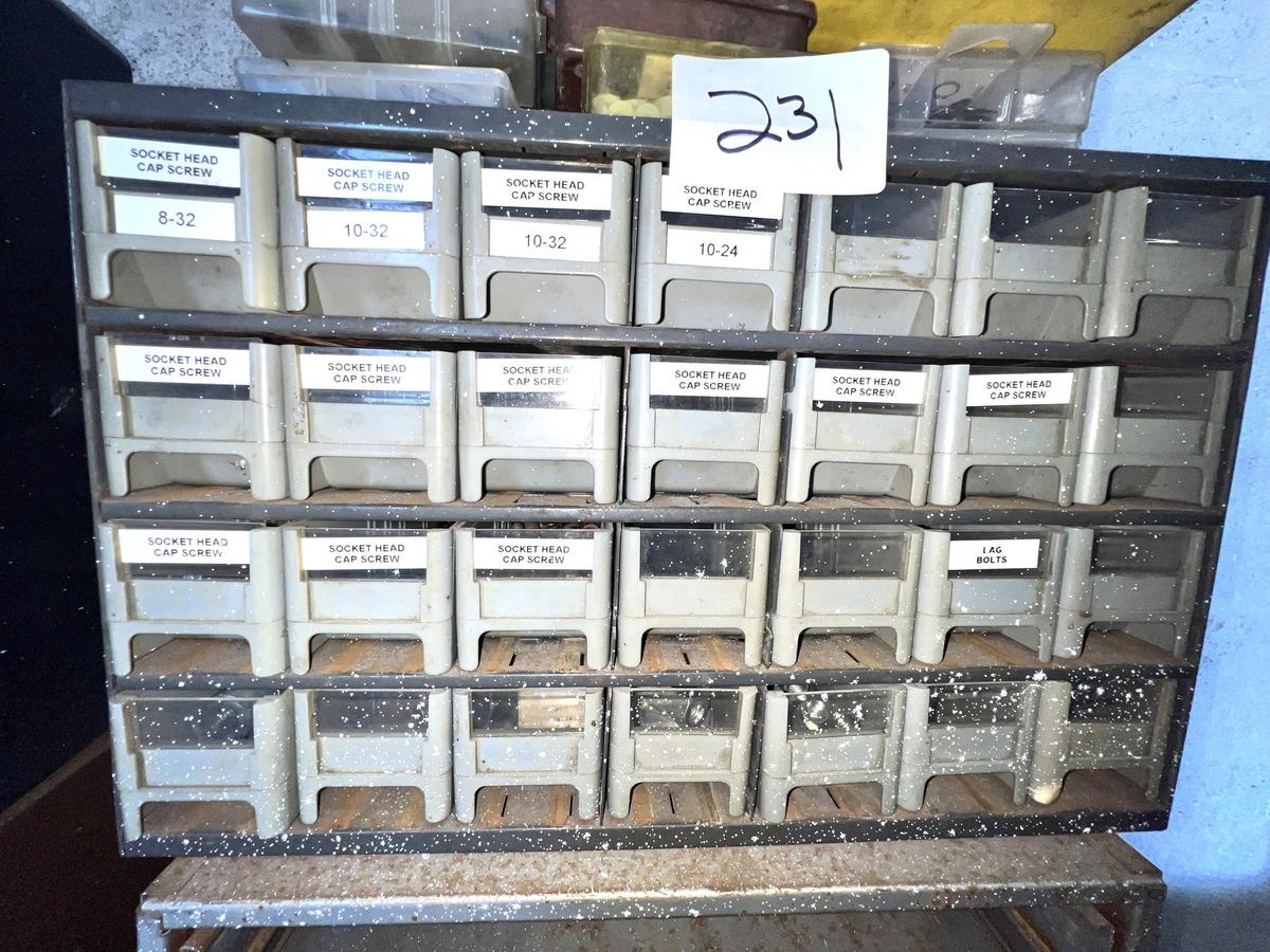 Parts Bin Full of Solid Head Cap Screws Threaded Nuts