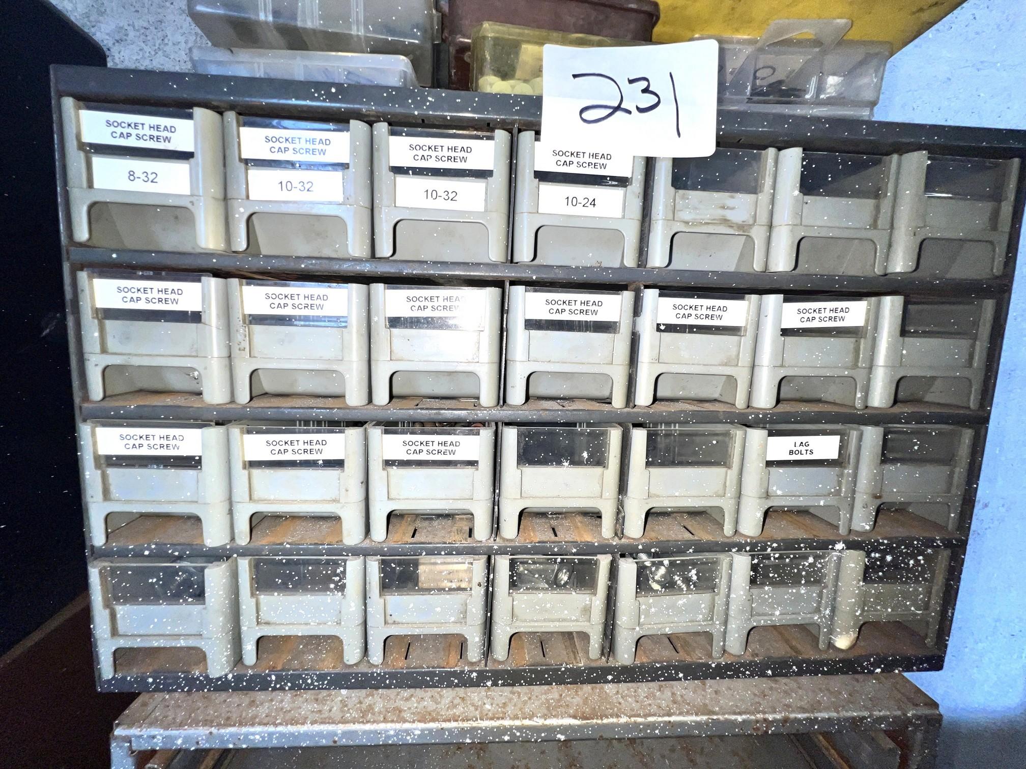 Parts Bin Full of Solid Head Cap Screws Threaded Nuts