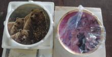 Star Trek and Bear Collector plates - set of 2