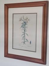 Wall Décor Lot