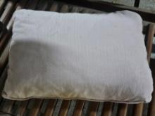 Outdoor Pillows