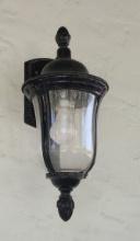 Outdoor Light Pendant -16 in H