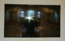 48 in Flat screen Television