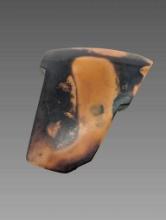 Fragment of Tortoise Shell