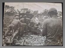 Historical Cuban Photograph Archived Document #10