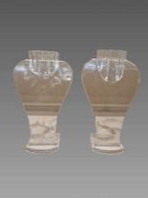 Pair of Acrylic Neck Stands