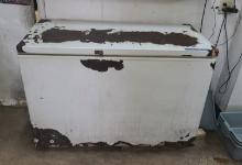 Commerical Freezer - 51 in