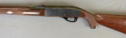 REMINGTON MODEL NYLON 66
