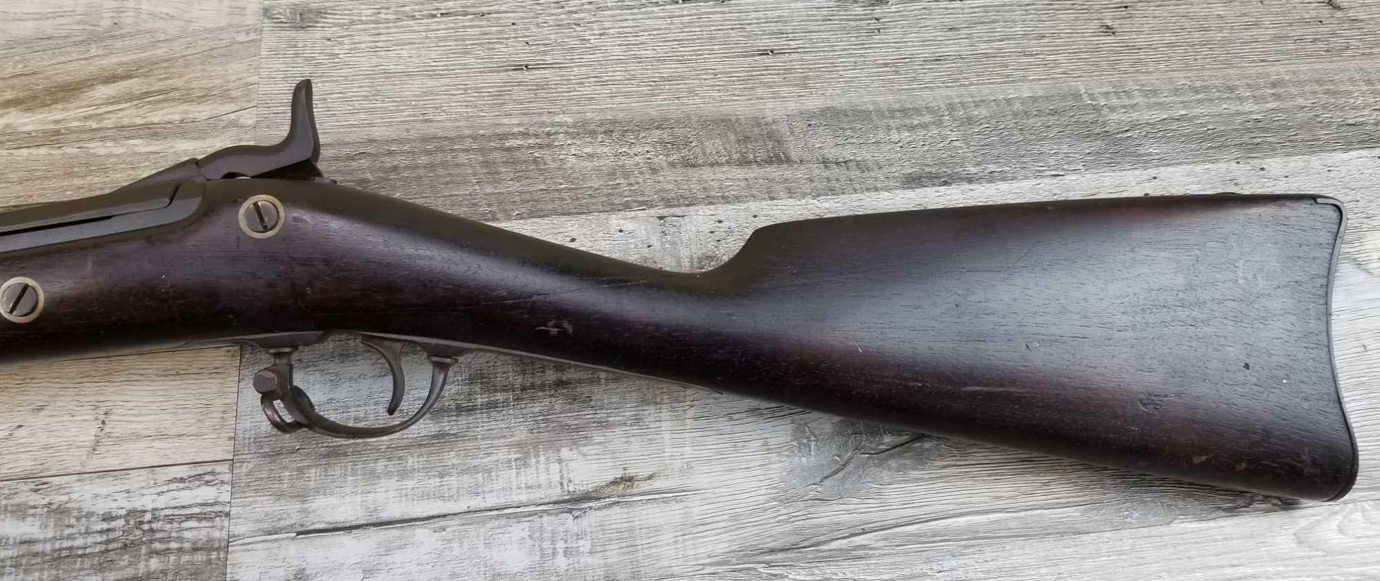 SPRINGFIELD MODEL 1873