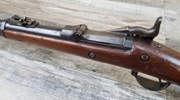 SPRINGFIELD MODEL 1873