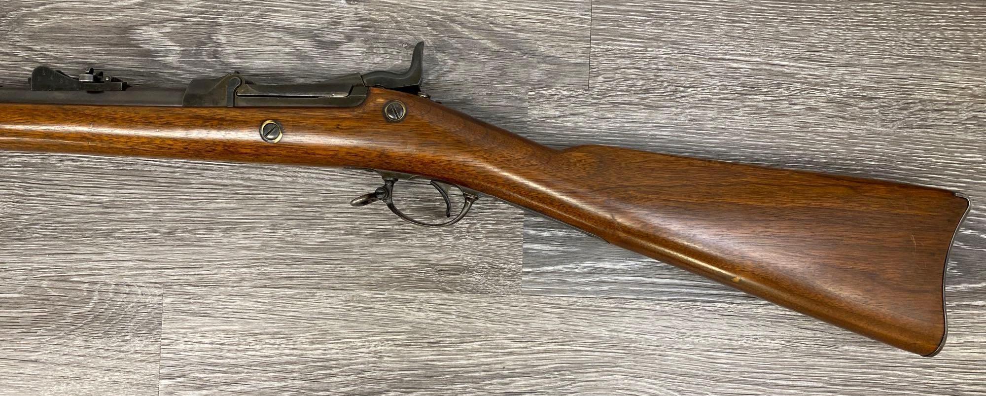 SPRINGFIELD 1873 .45-70