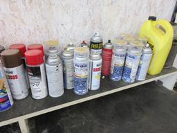 ASSORTED PAINT