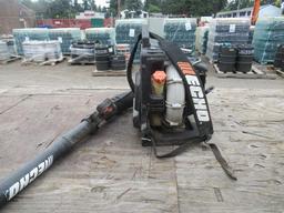 ECHO BACKPACK BLOWER