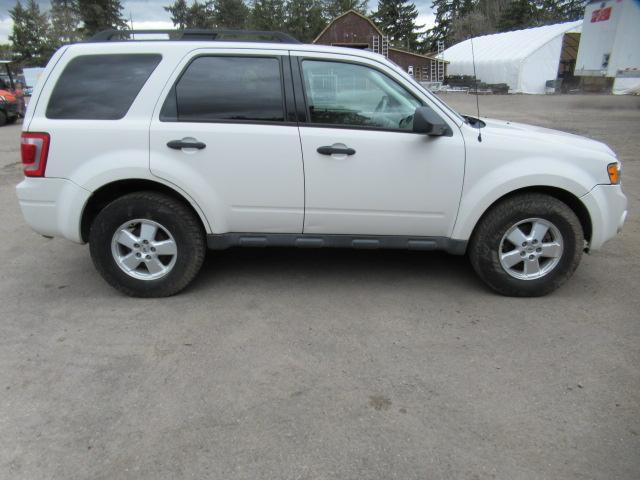 2012 FORD ESCAPE XLT
