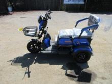 2025 FUTURE FT-D3 2-PERSON 3-WHEEL ELECTRIC CART (UNUSED)