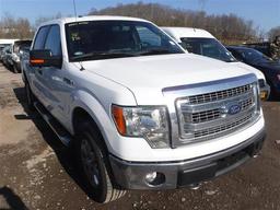 2014 FORD   F150