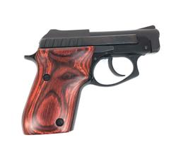 Taurus Gun Model PT-22 Pistol in .22LR