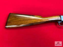 Remington 12-C .22 S, L, LR | SN: RW502669
