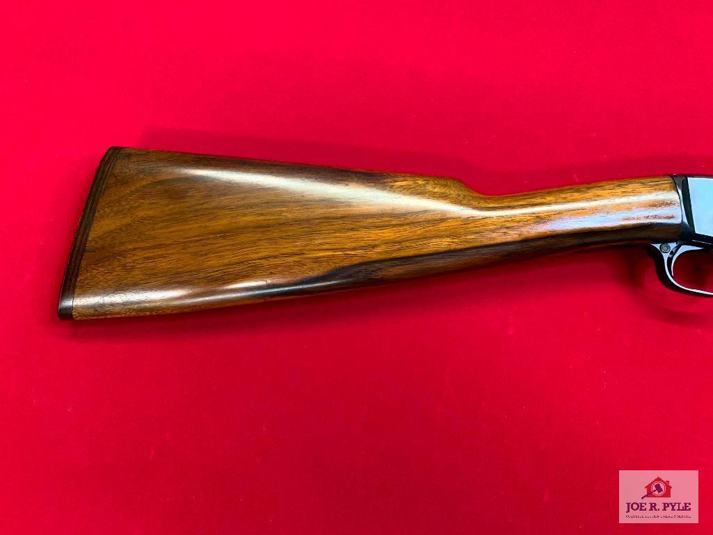 Remington 12-C .22 S, L, LR | SN: RW502669