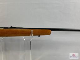 [313] Marlin Glenfield Model 10 .22 S, L, LR, SN: NVN