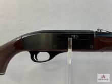 [375] Remington Nylon 66 .22 LR, SN: NVN