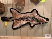 [242] Black Back Jackal rug with mounted head (11)