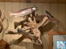 [250] Three Trout Mounted on Driftwood (19)