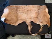 [262] Golden Wildebeest Back Hide (31)