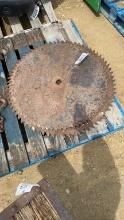 BUZZ SAW BLADES - 28-1/2" AND 31"