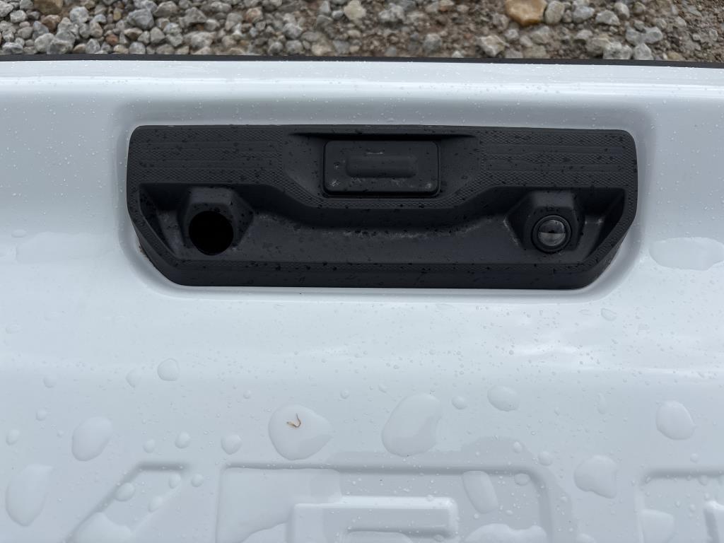 Tailgate for Chevy 1500 +