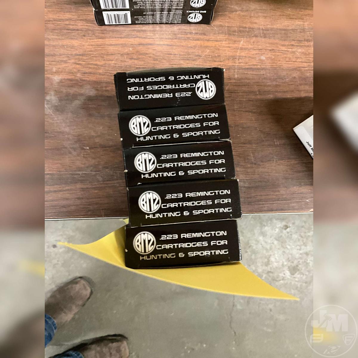 100 ROUNDS 223 BMZ