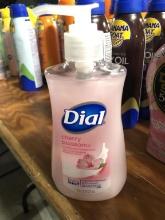 Dial Cherry Blossoms Moisturizer Hand Soap