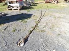 2 Position Lifting Cable