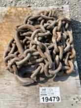 1 Lifting Chain with D-Ring