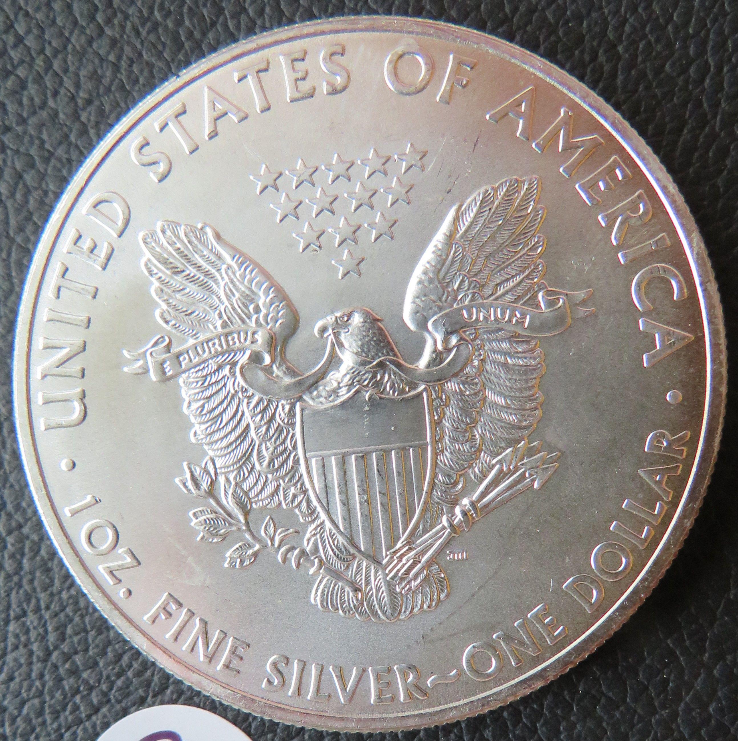 2013- American Eagle Silver Dollar