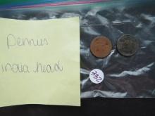 1888, 1890 Indian Head Pennies