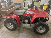 Honda Four Trax 300 4-Wheeler
