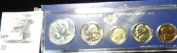 1966 U.S. Special Mint Set in original case and box of issue. Contains 40% Silver Half-dollar.