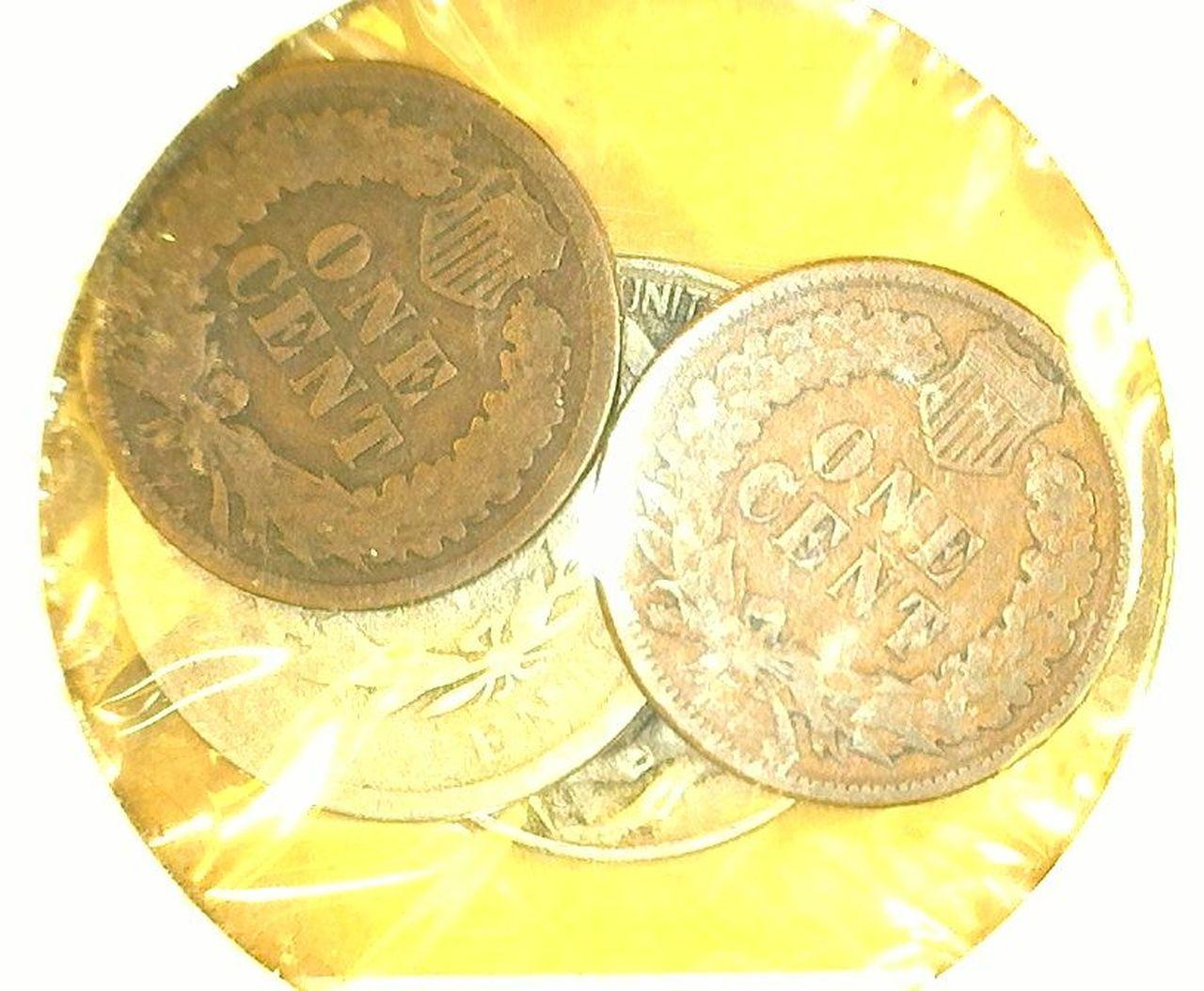 1894 Liberty Nickel, Good; 1930 S Buffalo Nickel, & 1891 & 1895 Indian Head Cents.