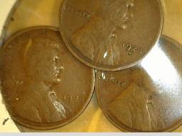 1909 P VDB, 1915 S, & 1928 D Lincoln Cents, all carded together.