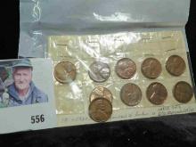 Set of ten 1960 D Lincoln Cent Minting errors. Includes repunched Mint marks and etc.