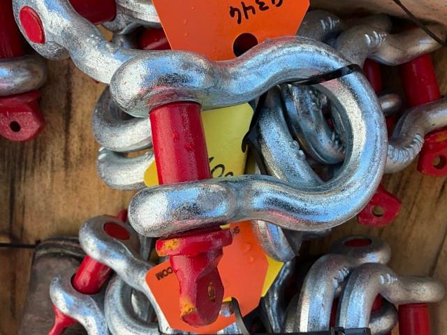 (10) 7/8" Anchor Shackle