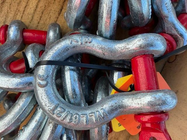 (10) 7/8" Anchor Shackle