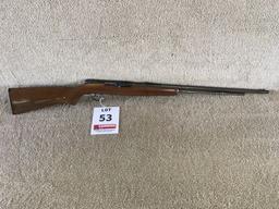 Remington 550-1 .22S-L-LR rifle